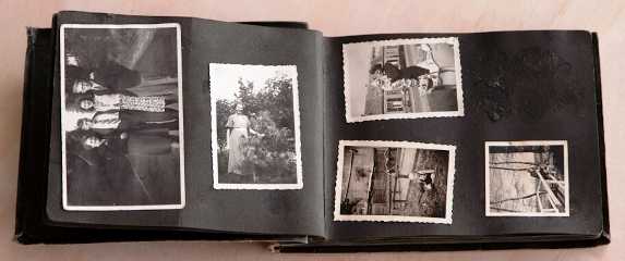 albom1
