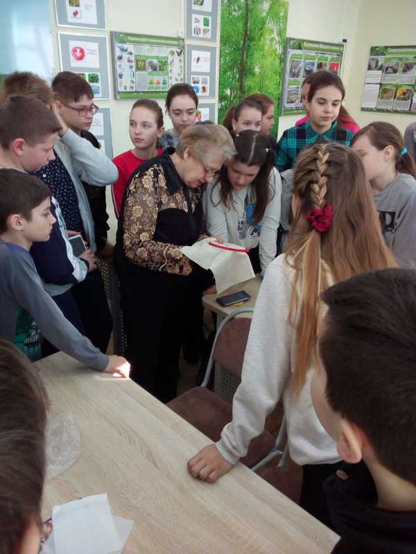 Лубченок-02