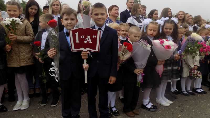 линейка 2020-06