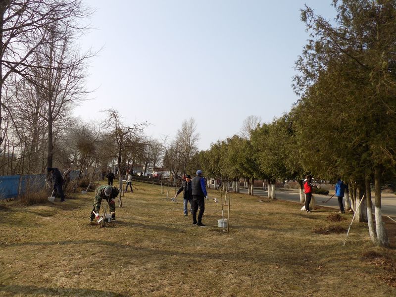 rabii 03